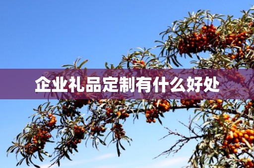 企业礼品定制有什么好处